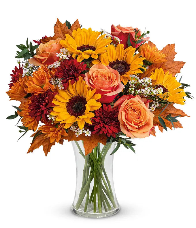 Season of the Harvest