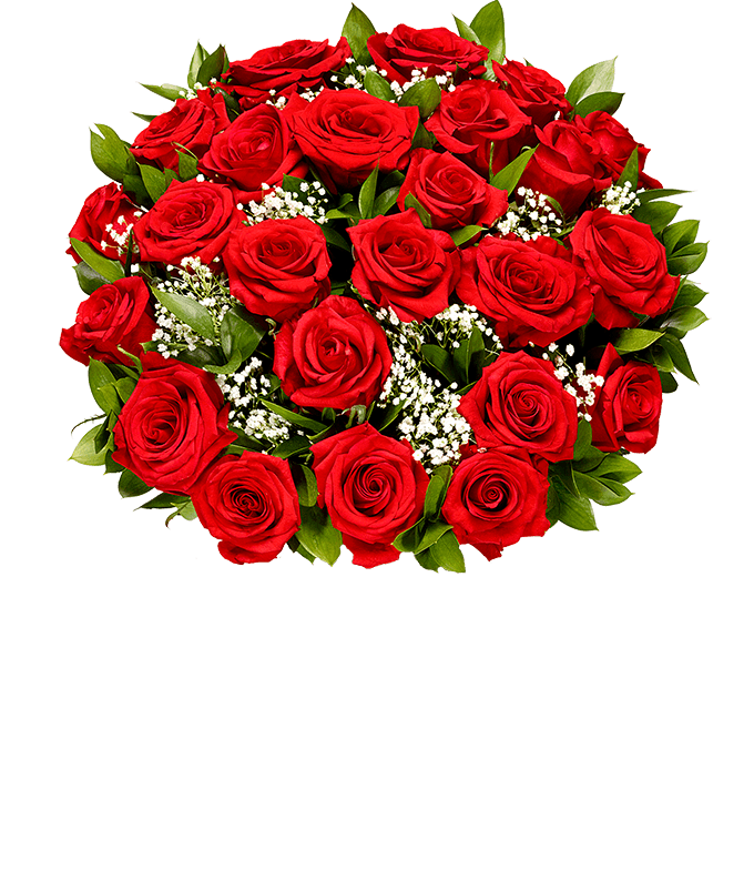 Valentine Rose Bundle
