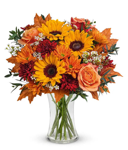 Season of the Harvest