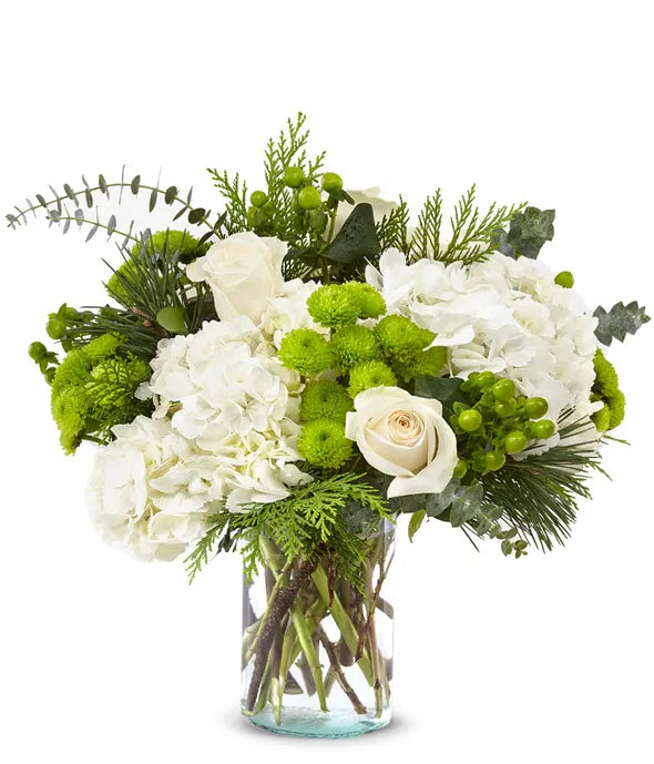 WInter's First Flakes