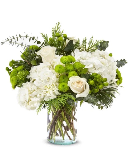 WInter's First Flakes